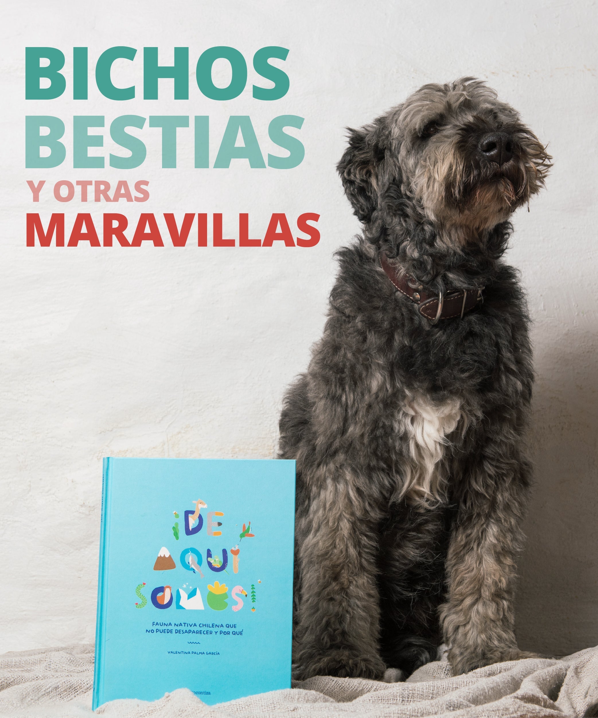 Animales