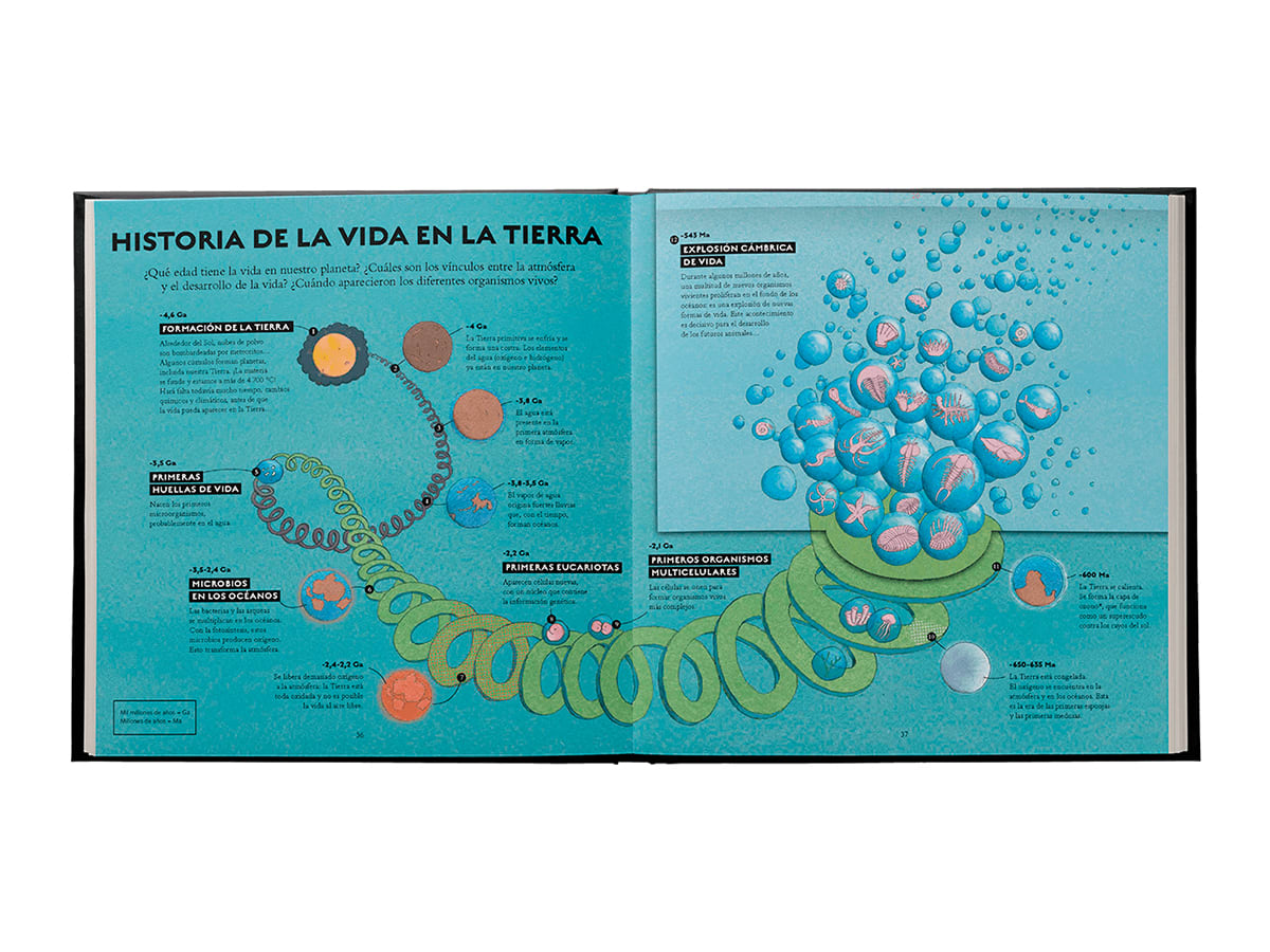 vida