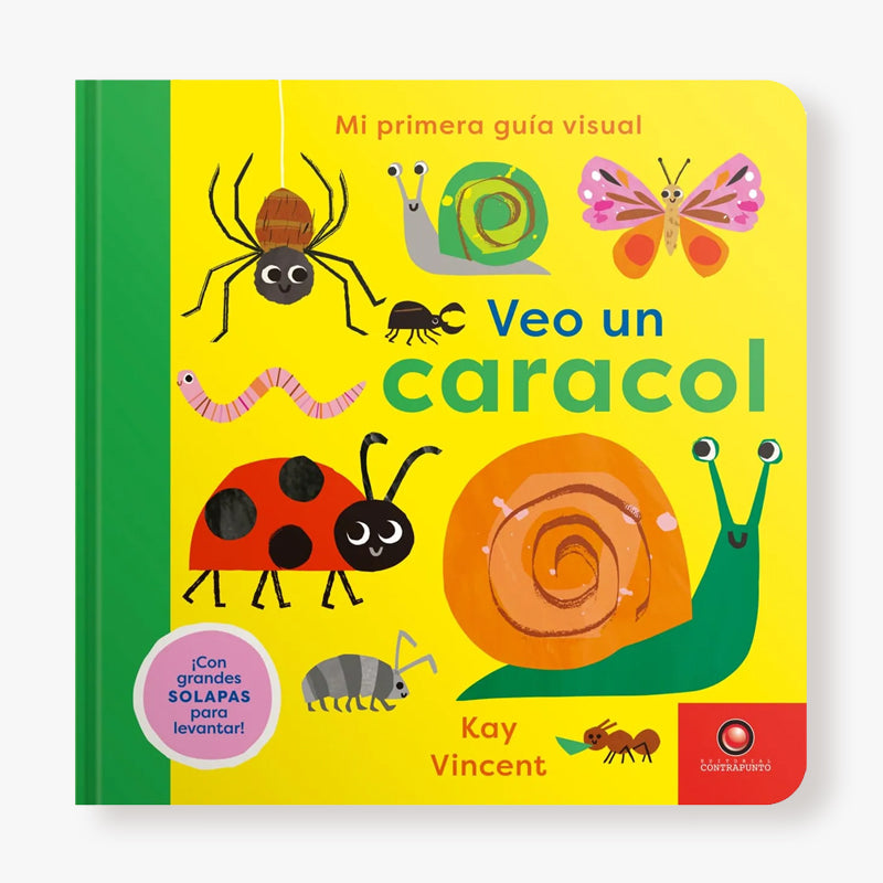 Mi primera guía visual - Veo un caracol