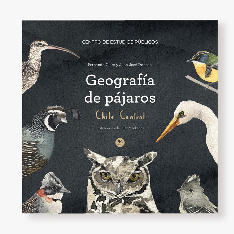 Geografía de pájaros: Chile central