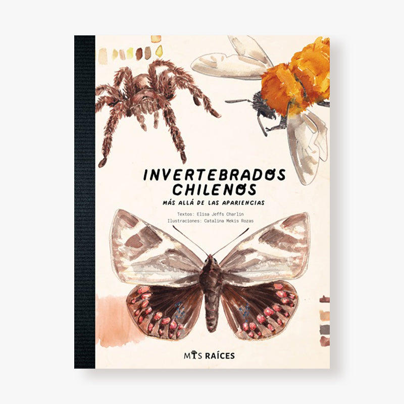 Invertebrados chilenos