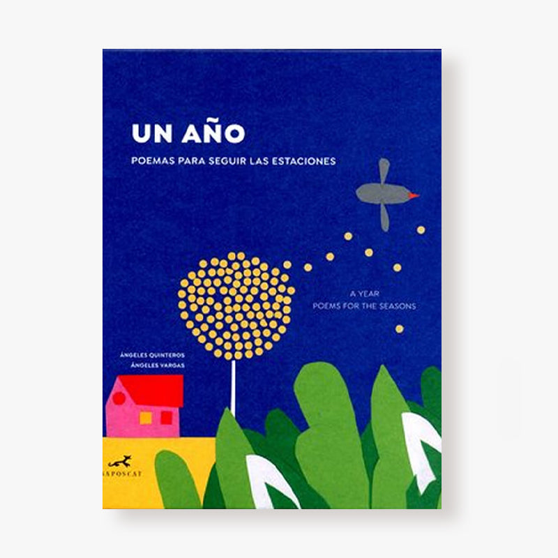 Un año