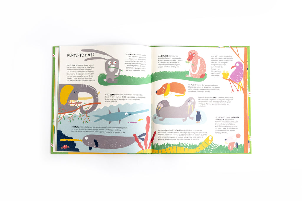 La vida secreta de los dientes