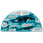 explora-la-antartida-en-360