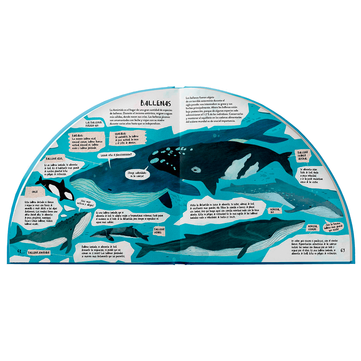 explora-la-antartida-en-360