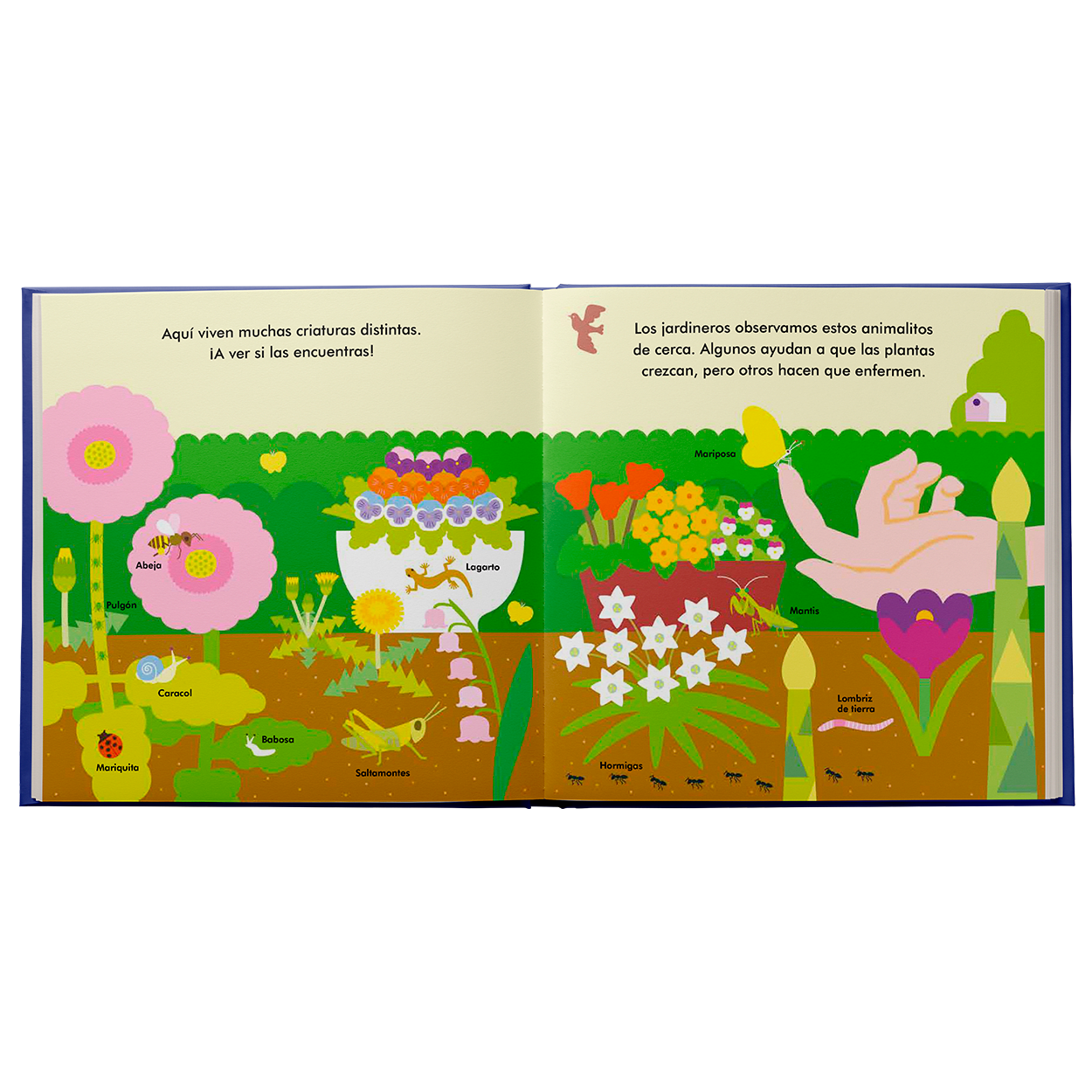 mi-pequeno-jardin