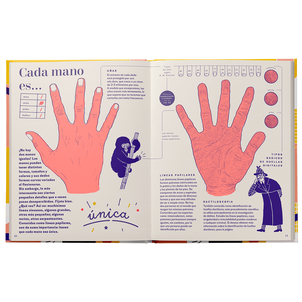 mano-una-guia-completa