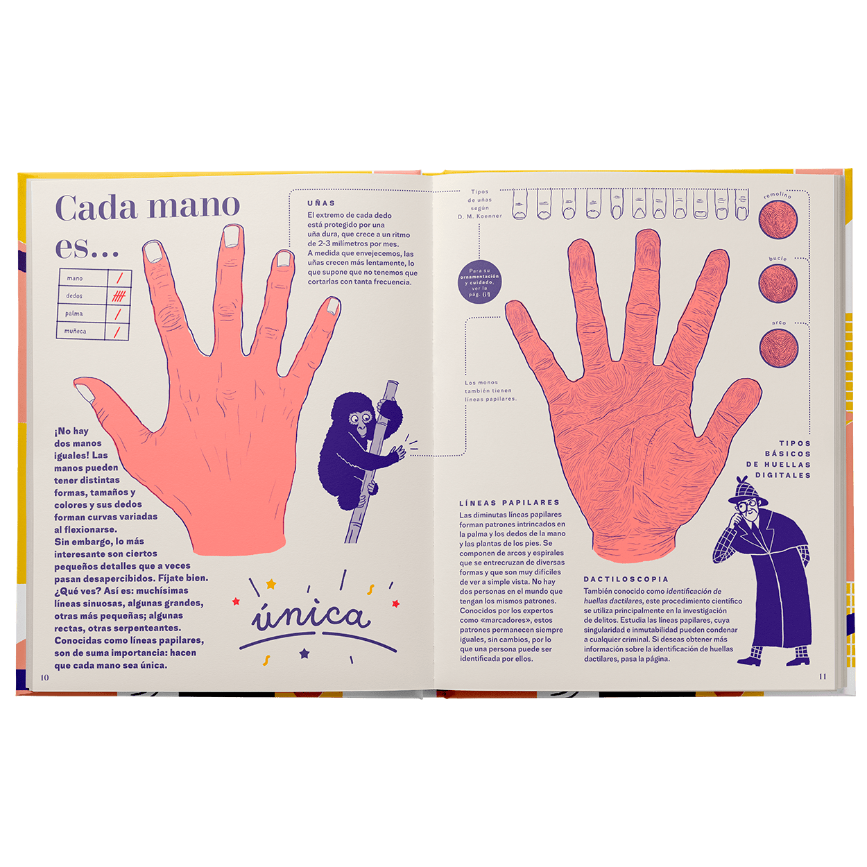 mano-una-guia-completa
