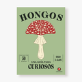 Una guía para curiosos - Hongos