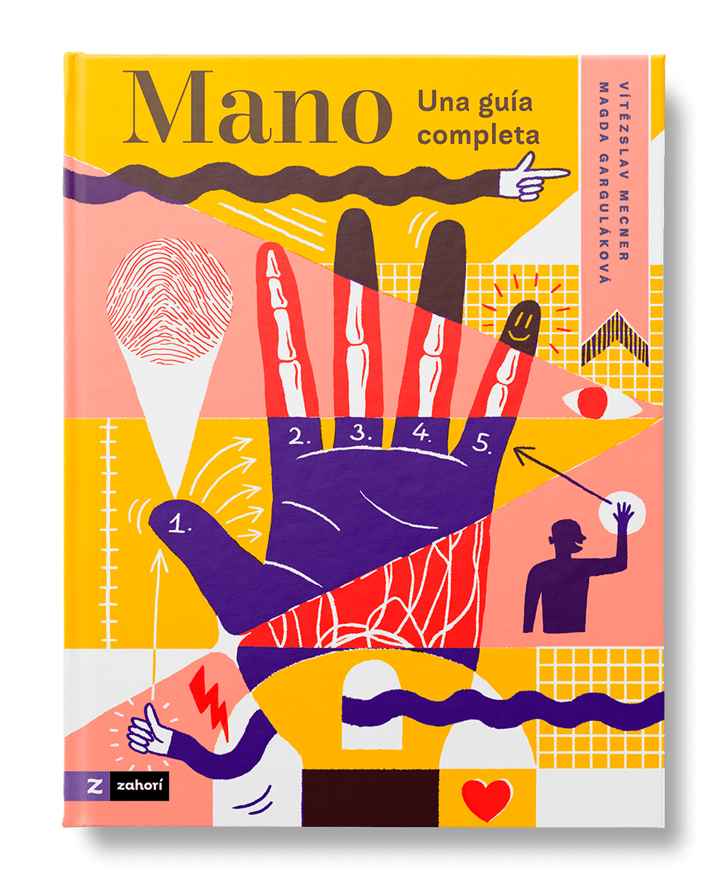 mano-una-guia-completa