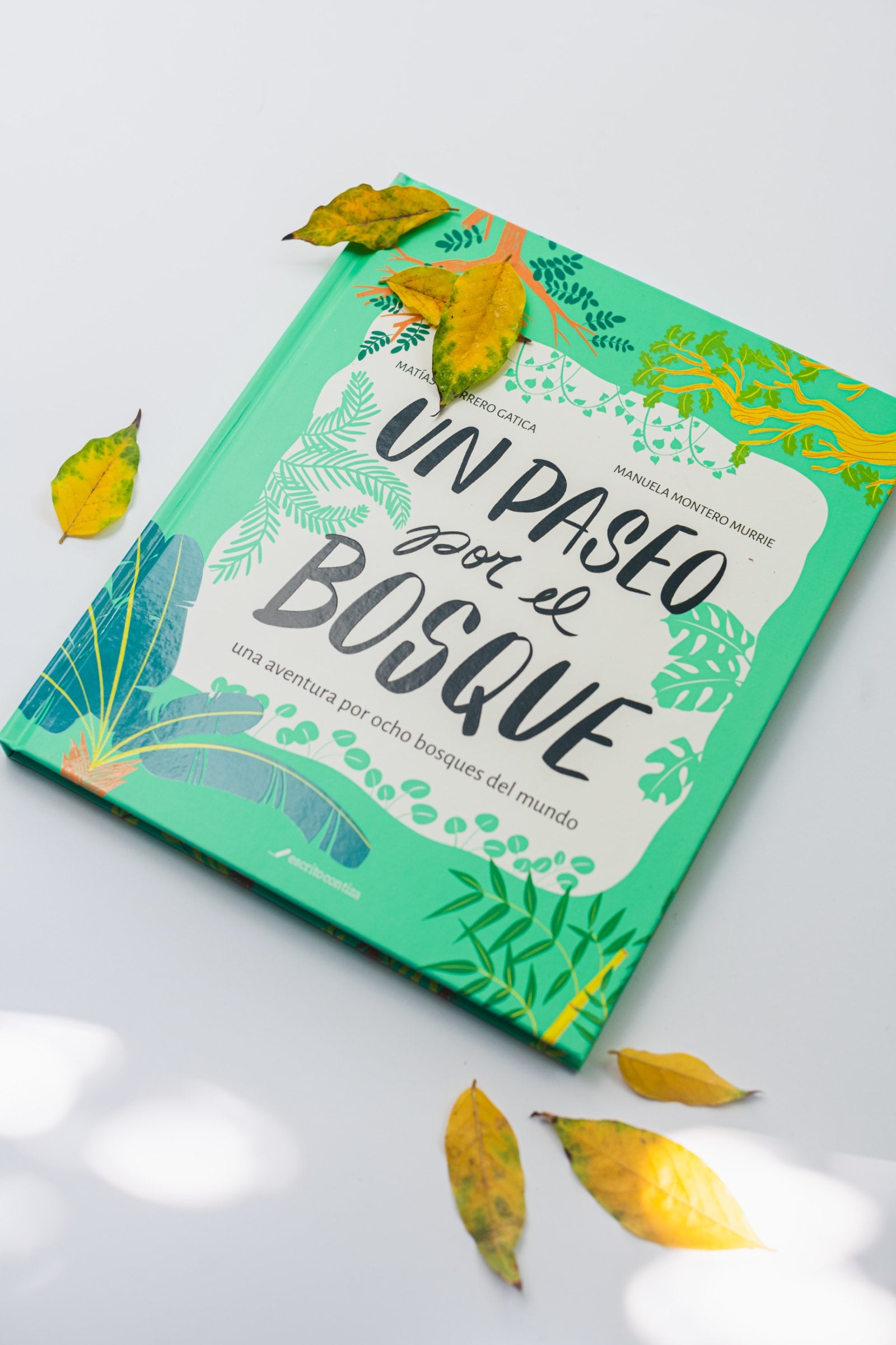 un-paseo-por-el-bosque