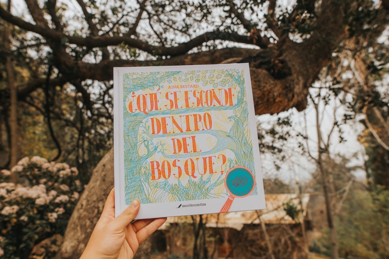 que-se-esconde-dentro-del-bosque