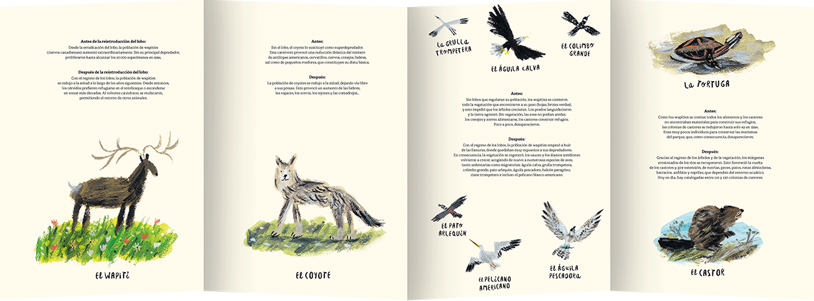 el-regreso-de-los-lobos