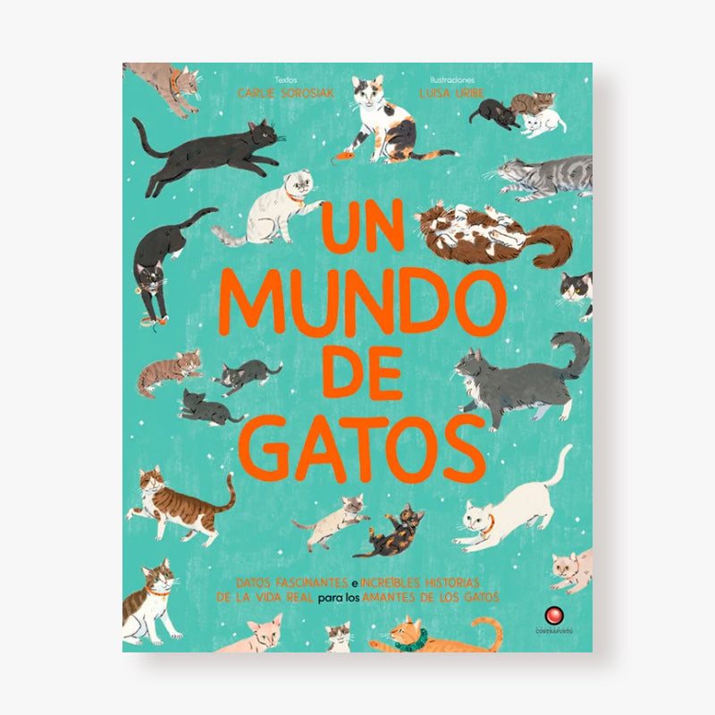 Un mundo de gatos
