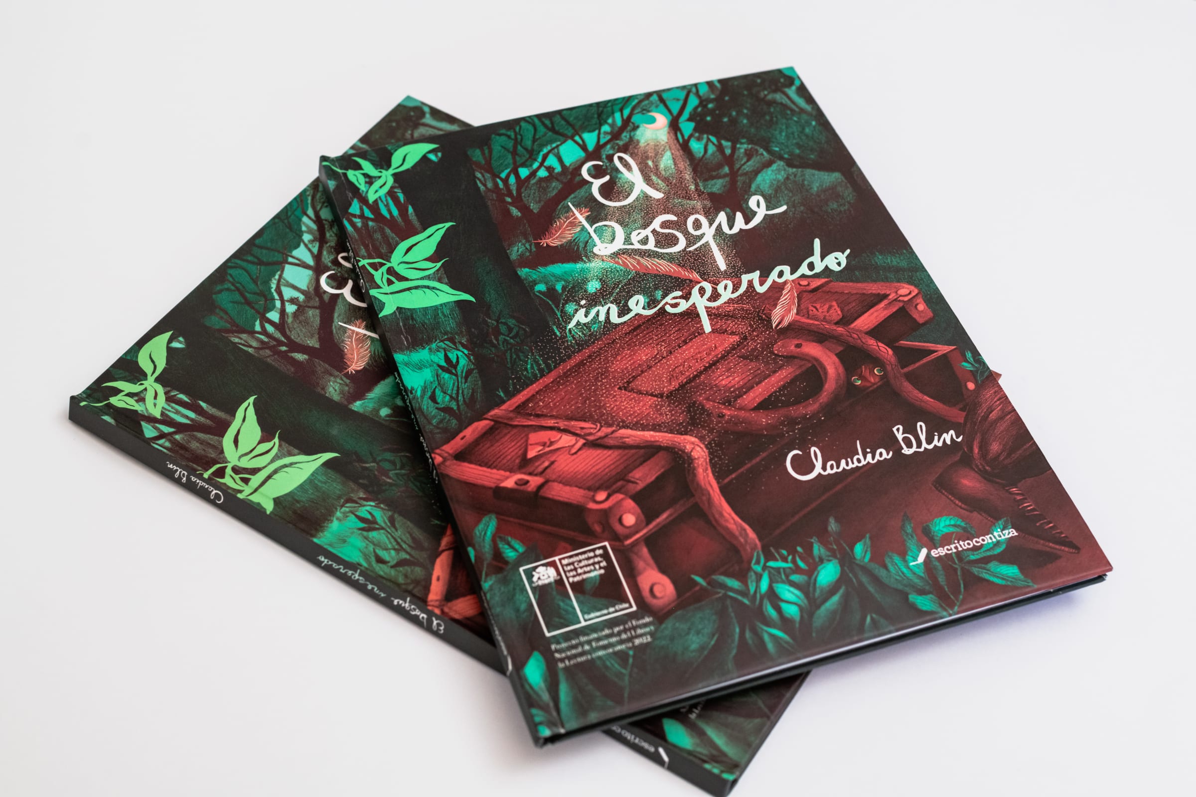 el-bosque-inesperado