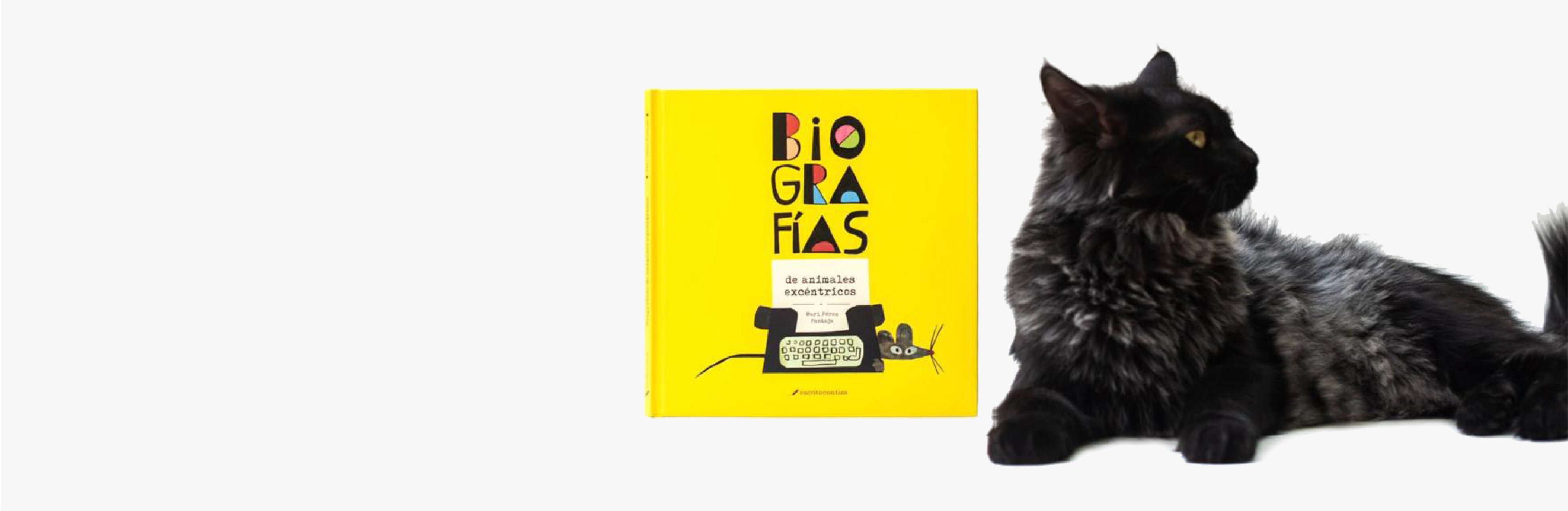 Catálogos Escrito con Tiza y libros editoriales